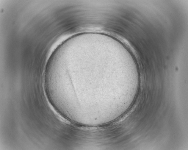 X0000087741432200706041026