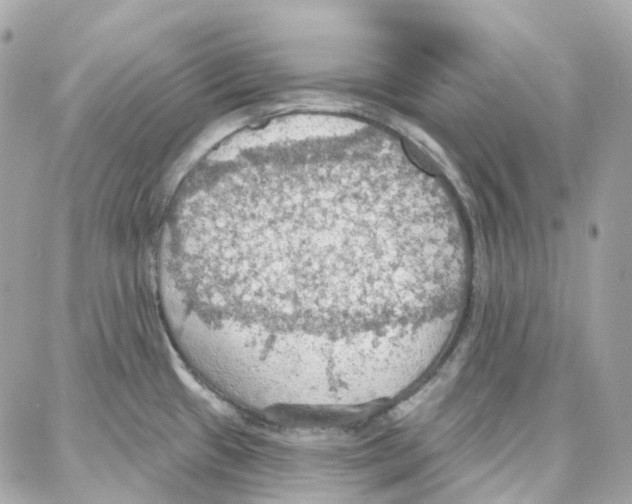 X0000087741433200706041026