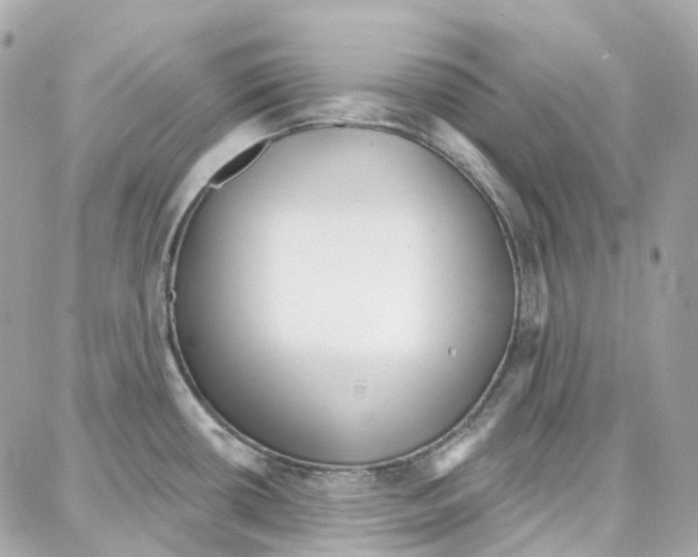 X0000087741434200706041026