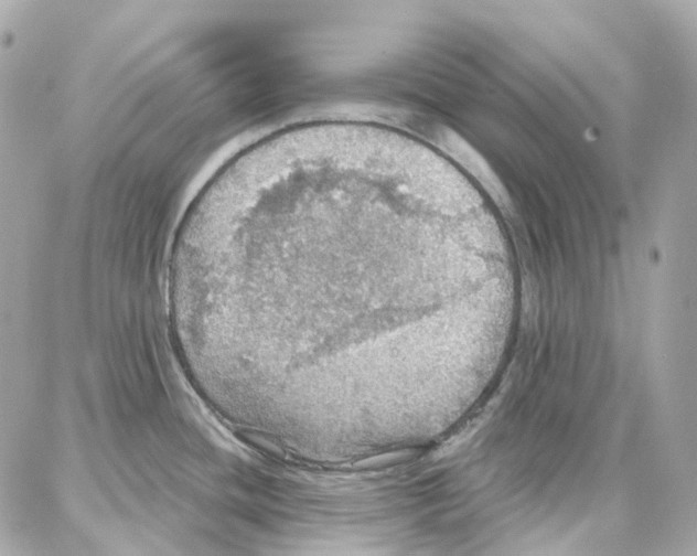 X0000087741436200706041026