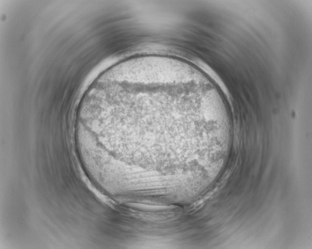 X0000087741437200706041026