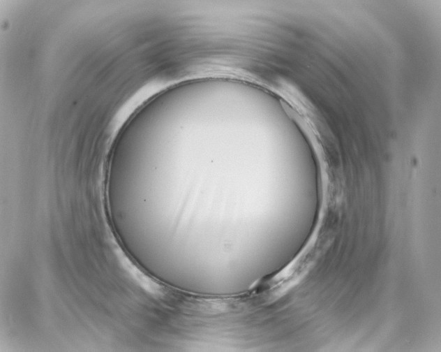 X0000087741438200706041026