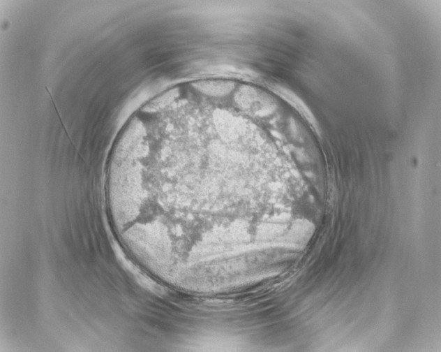 X0000087741439200706041026