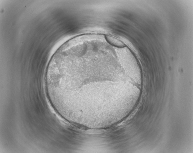 X0000087741440200706041026