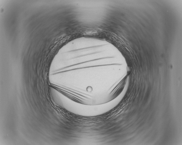 X0000087741441200706041025