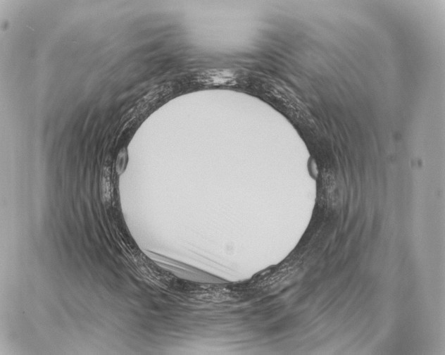 X0000087741442200706041025