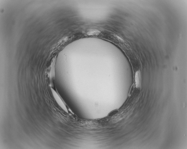 X0000087741443200706041025