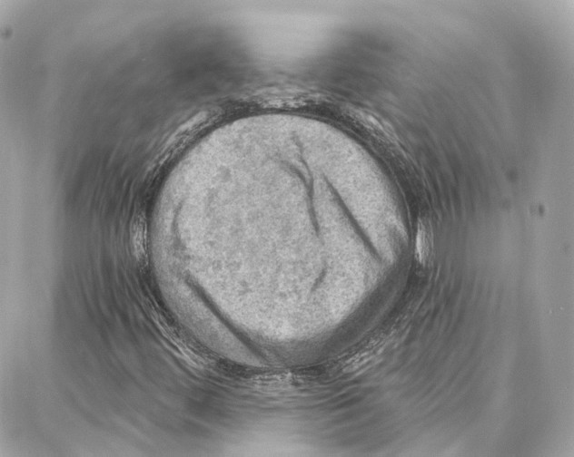 X0000087741444200706041025