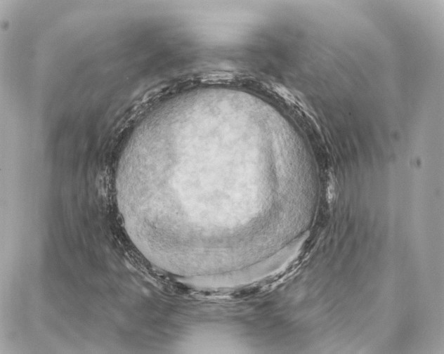 X0000087741445200706041025