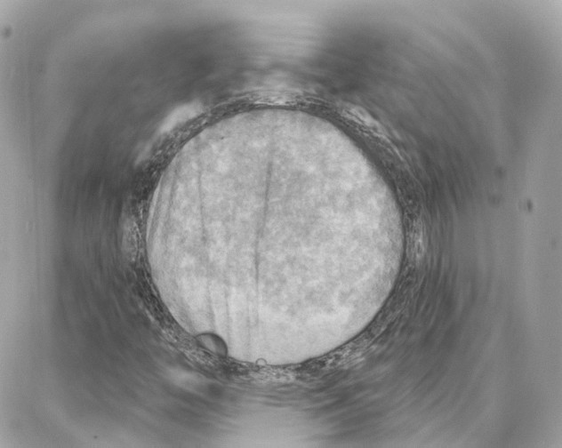 X0000087741446200706041025