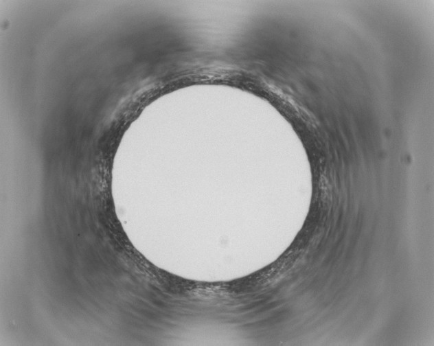 X0000087741447200706041025