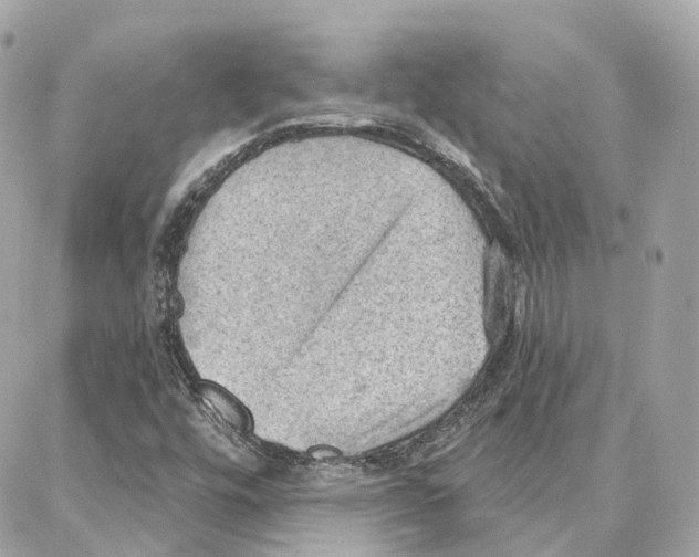 X0000087741448200706041025