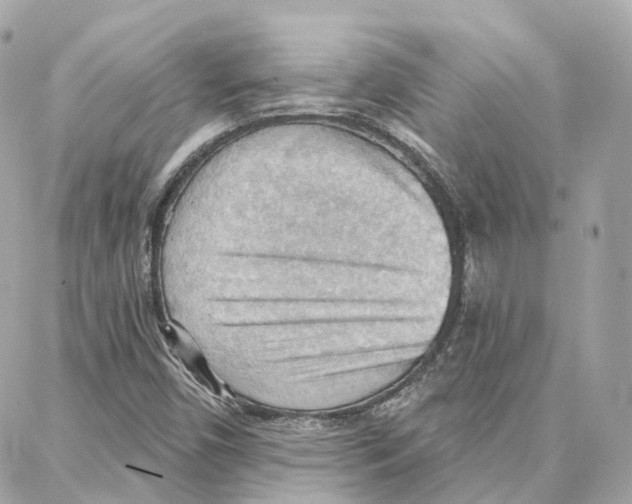 X0000087741450200706041025