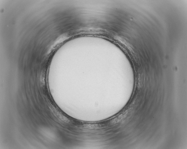 X0000087741451200706041025