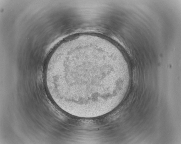 X0000087741452200706041025