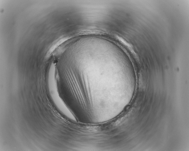 X0000087741453200706041025