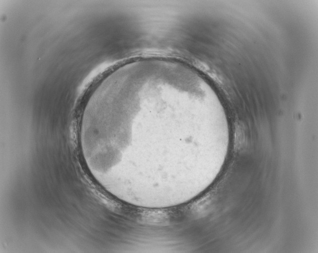 X0000087741454200706041025