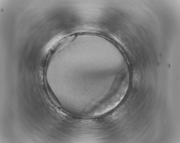 X0000087741455200706041025