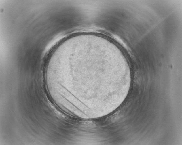 X0000087741456200706041025