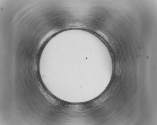 X0000087741458200706041025