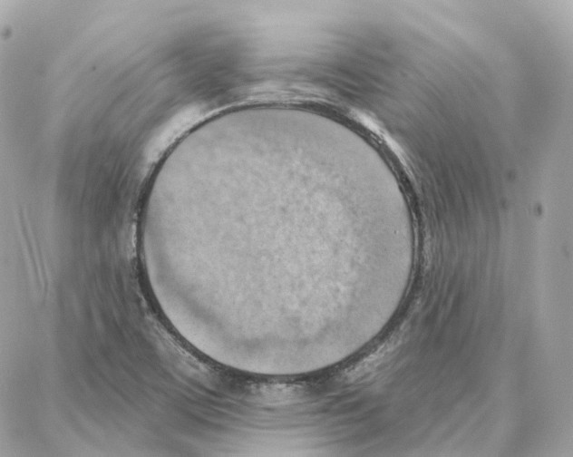 X0000087741459200706041025