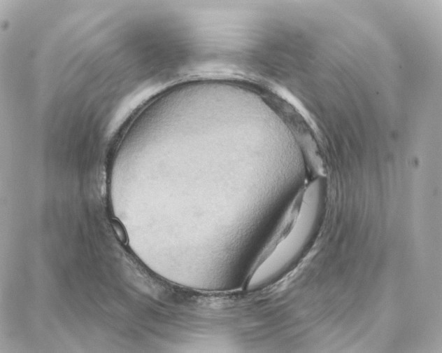 X0000087741461200706041025