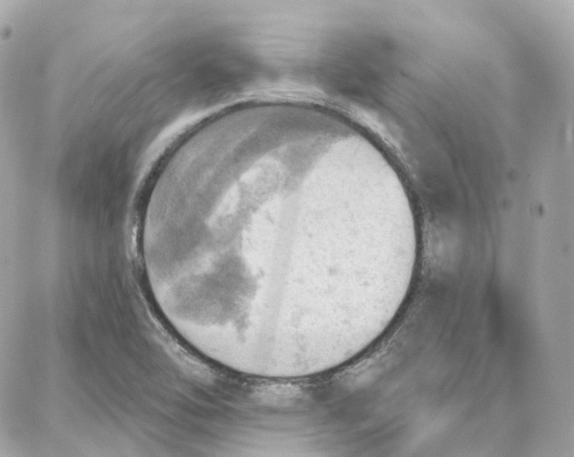 X0000087741462200706041025