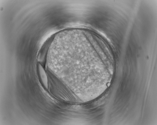 X0000087741463200706041025