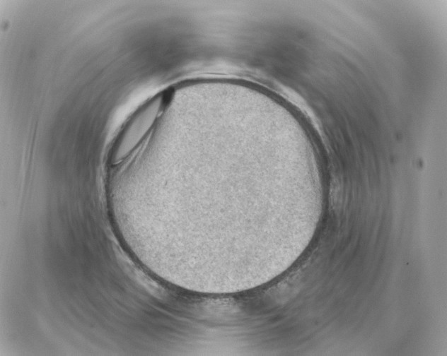 X0000087741464200706041024