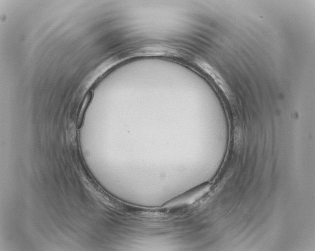 X0000087741465200706041024