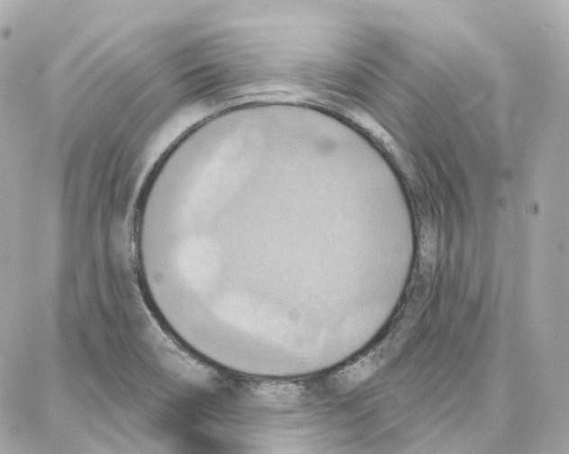 X0000087741466200706041024