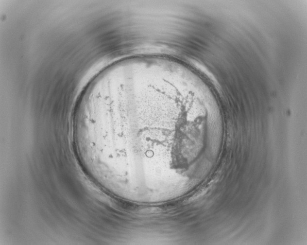 X0000087741467200706041024