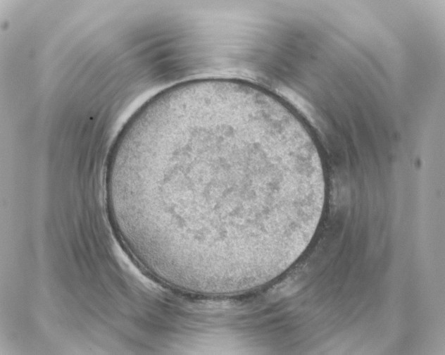 X0000087741468200706041024