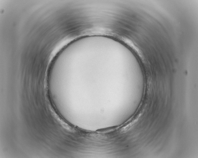 X0000087741469200706041024