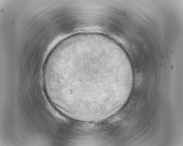 X0000087741470200706041024