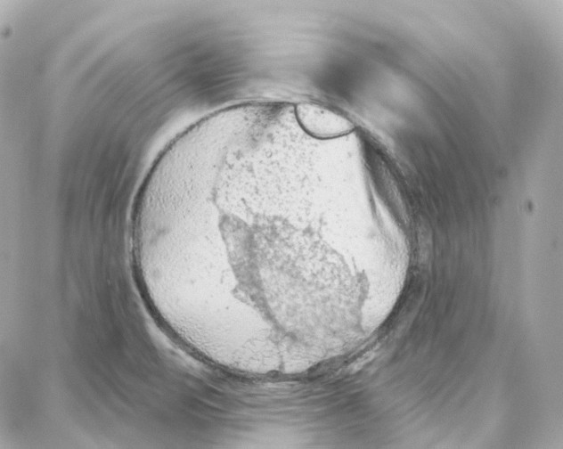 X0000087741471200706041024