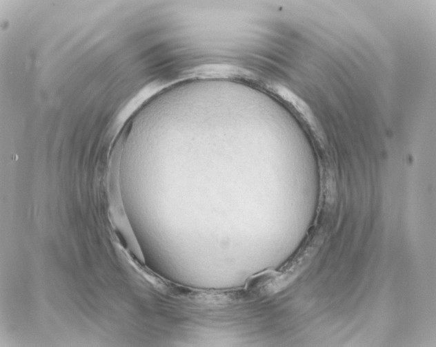 X0000087741473200706041024