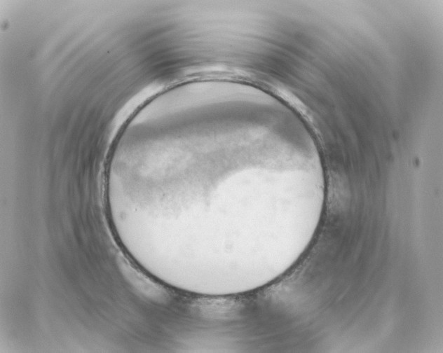 X0000087741474200706041024