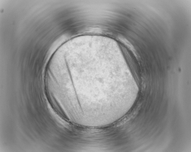 X0000087741475200706041024