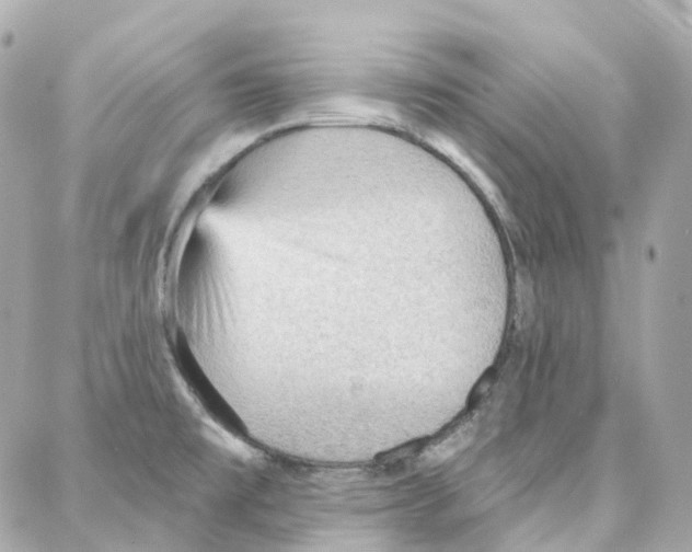 X0000087741477200706041024