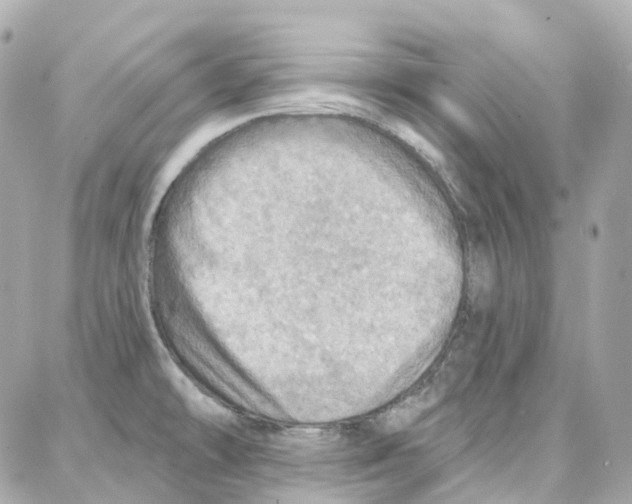 X0000087741478200706041024