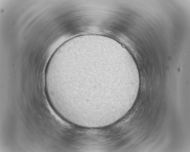 X0000087741479200706041024