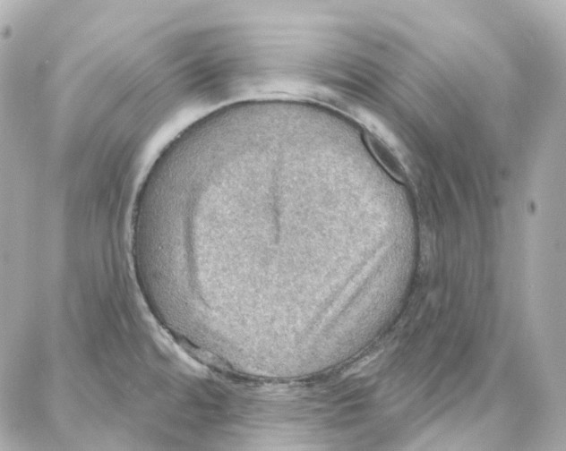 X0000087741480200706041024