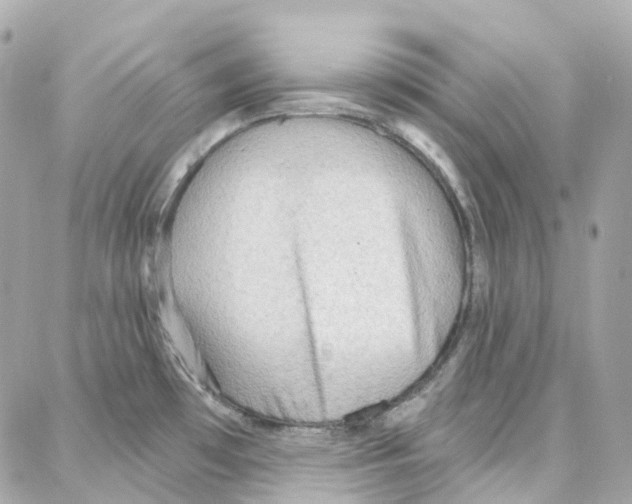 X0000087741481200706041024