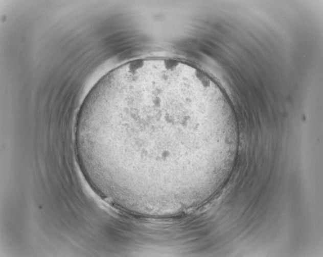 X0000087741483200706041024