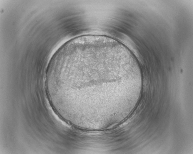 X0000087741484200706041024