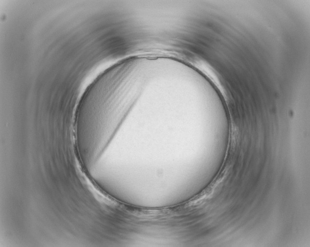 X0000087741485200706041024