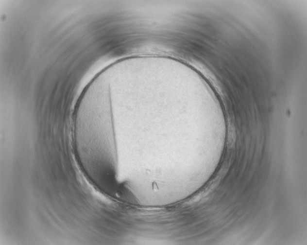 X0000087741486200706041024