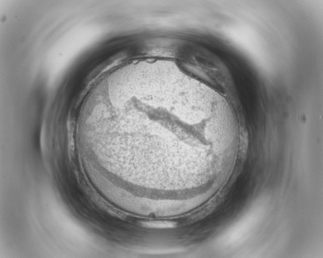 X0000087741487200706041024