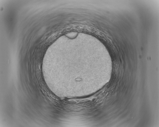 X0000087741489200706041023